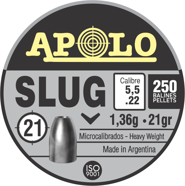 Slug-cal-55-136gr-21grains-1.png